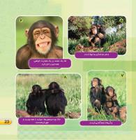 مجله خردسال 389 صفحه 23