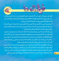 مجله خردسال 394 صفحه 8