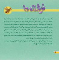 مجله خردسال 395 صفحه 8