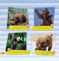 مجله خردسال 402 صفحه 23