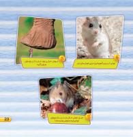 مجله خردسال 403 صفحه 23