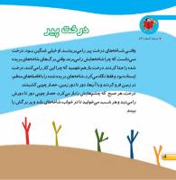 مجله خردسال 404 صفحه 4