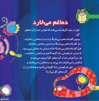 مجله خردسال 409 صفحه 18