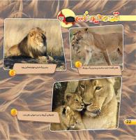 مجله خردسال 412 صفحه 22