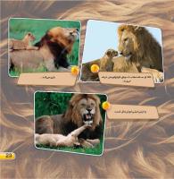 مجله خردسال 412 صفحه 23