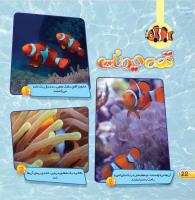 مجله خردسال 414 صفحه 22