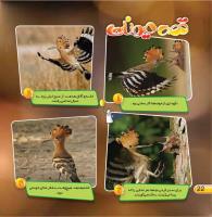 مجله خردسال 419 صفحه 22