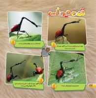 مجله خردسال 423 صفحه 22