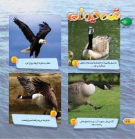 مجله خردسال 429 صفحه 22