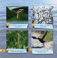 مجله خردسال 430 صفحه 23