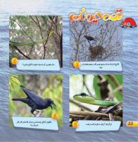 مجله خردسال 430 صفحه 22