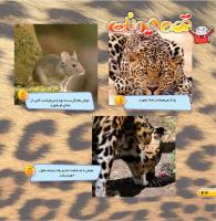 مجله خردسال 431 صفحه 22