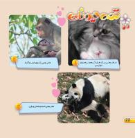 مجله خردسال 432 صفحه 22