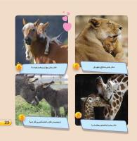 مجله خردسال 432 صفحه 23