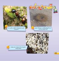 مجله خردسال 434 صفحه 22