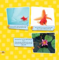 مجله خردسال 437 صفحه 23