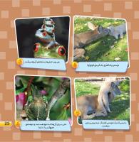 مجله خردسال 438 صفحه 23