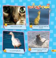 مجله خردسال 439 صفحه 22