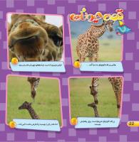 مجله خردسال 440 صفحه 22