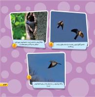 مجله خردسال 444 صفحه 23