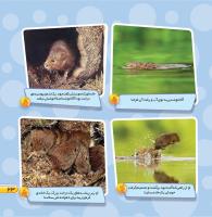 مجله خردسال 445 صفحه 23
