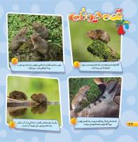 مجله خردسال 445 صفحه 22