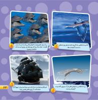 مجله خردسال 448 صفحه 23