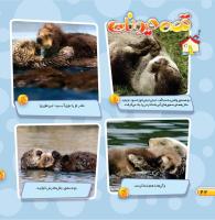 مجله خردسال 449 صفحه 22