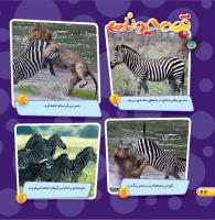 مجله خردسال 452 صفحه 22