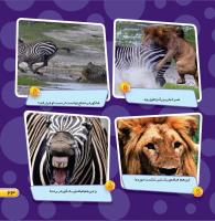 مجله خردسال 452 صفحه 23
