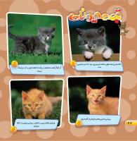 مجله خردسال 453 صفحه 22