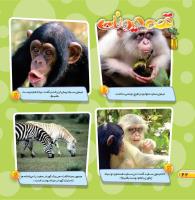مجله خردسال 454 صفحه 22