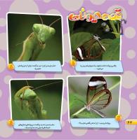 مجله خردسال 456 صفحه 22