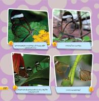 مجله خردسال 456 صفحه 23