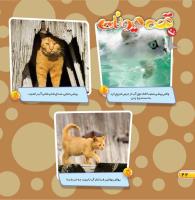 مجله خردسال 457 صفحه 22