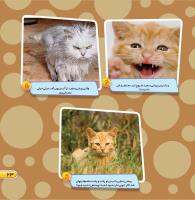 مجله خردسال 457 صفحه 23