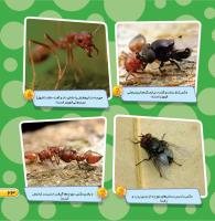 مجله خردسال 458 صفحه 23