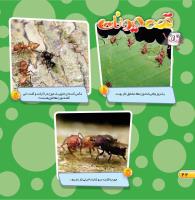 مجله خردسال 458 صفحه 22