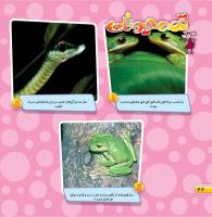 مجله خردسال 459 صفحه 22
