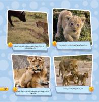 مجله خردسال 461 صفحه 23