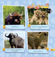 مجله خردسال 461 صفحه 22