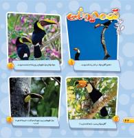 مجله خردسال 462 صفحه 22