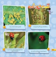 مجله خردسال 463 صفحه 22