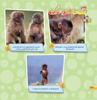 مجله خردسال 466 صفحه 22