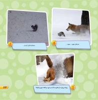 مجله خردسال 465 صفحه 23