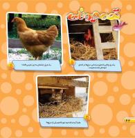 مجله خردسال 467 صفحه 22
