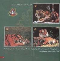 مجله خردسال 29 صفحه 21
