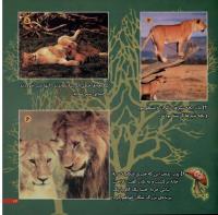مجله خردسال 8 صفحه 23