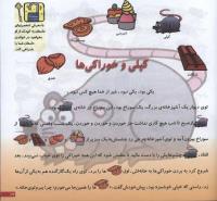 مجله خردسال 46 صفحه 17