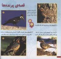 مجله خردسال 46 صفحه 20